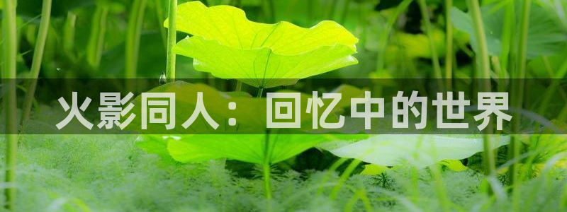 对魔忍日版抖漫：火影同人：回忆中的世界